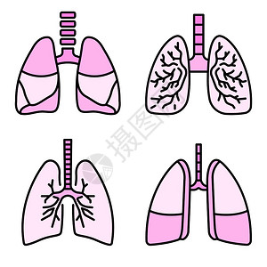 细木耳插画_细木耳卡通_细木耳插图_手绘_板绘_摄图网