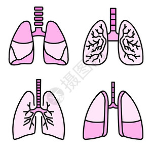 肺部图标组为病媒图标大纲集图片