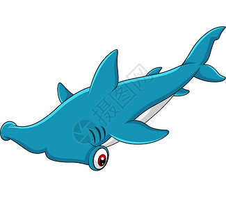 卡通锤头鲨鱼图片