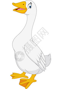 鸟的天堂素材白背景上孤立的卡通鹅插画