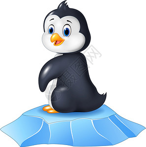 坐在冰面上的可爱小企鹅图片