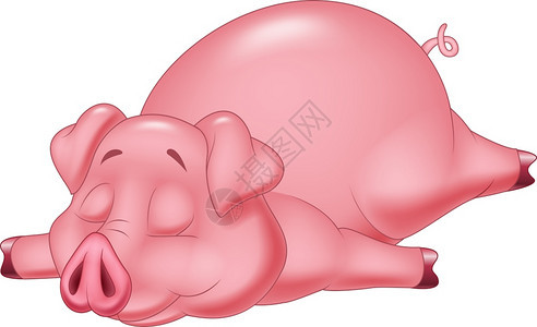 睡着的可爱猪图片