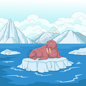 冰面上的卡通海象图片