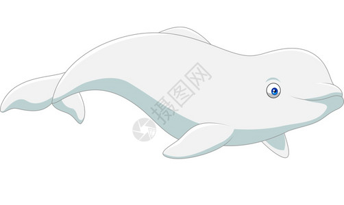 白色背景上孤立的卡通白鲸图片素材