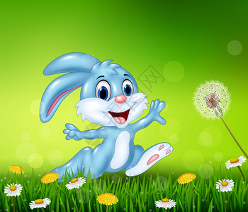 小兔子小,to想插画_小兔子小,to想卡通_小兔子小,to想插图_手绘_板绘