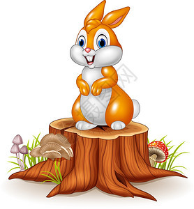 站在树桩上的可爱兔子图片