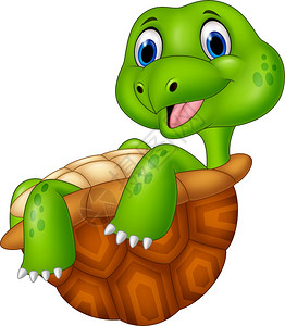 鳄龟卡通鳄龟图片