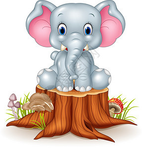 树桩上可喜的爱小象图片