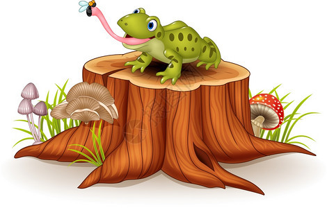 可爱的青蛙在树桩上抓苍蝇图片