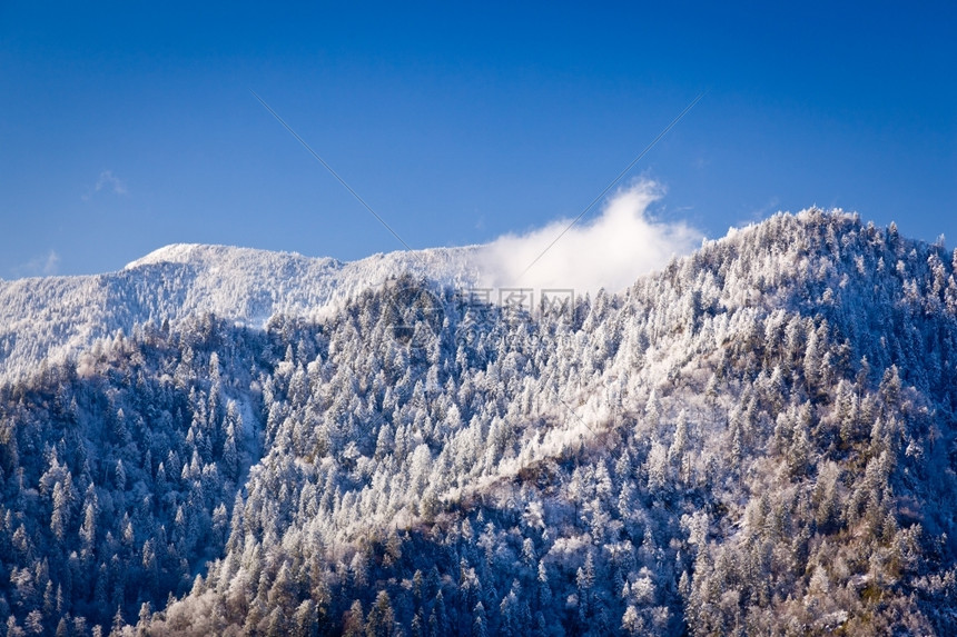 春初被雪覆盖的白山著名风雪景图片