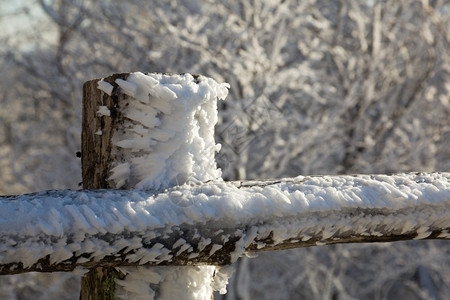 雪在旧木栅栏上被炸成锋利的形状图片