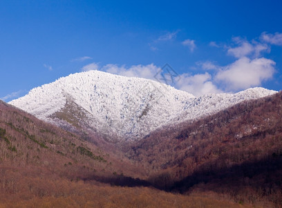 春初被雪覆盖的白山著名烟雾景图片