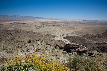安扎博雷戈沙漠和州公园在山谷中布罗雷戈泉由黄树包围图片