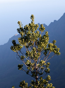 在Kaui的nPli海岸的Ku山谷上空图片