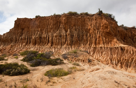 托里松树山坡上的沙石砂岩中尖锐侵蚀的坚硬剃刀图片