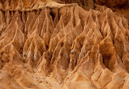 近距离宏观察显示在托里松树坡上沙石的岩中坚硬剃刀锋利侵蚀图片