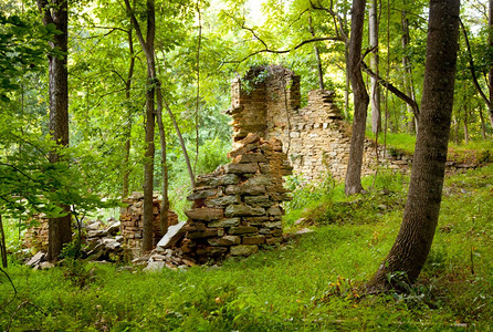 林中一块石头建筑的废墟因植被而过度生长图片