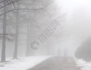人们在雾的冬季公园中行走的轮廓图片