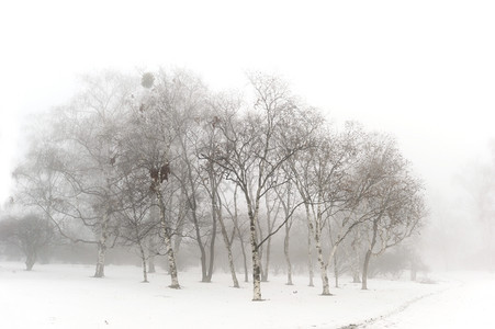 雾天冬雪的公园图片