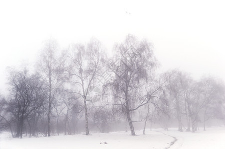 雾天冬雪的公园图片