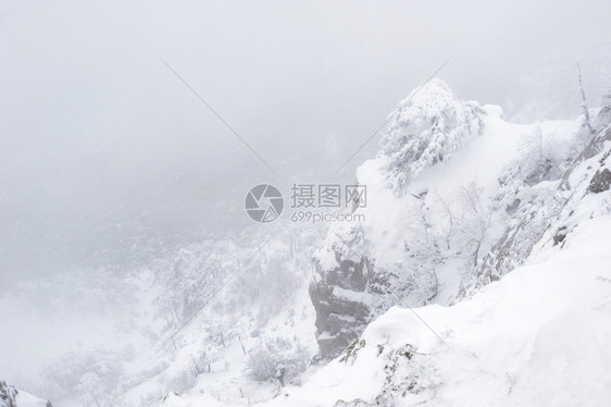 山上有雪花树图片