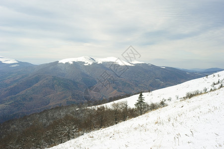 冬季的喀尔巴阡山雪覆盖了喀尔巴阡山脉图片