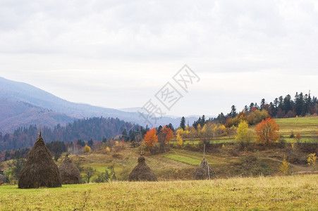 喀尔巴阡山脉美丽的秋天景色图片