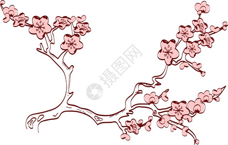 樱花春枝日本风格图片