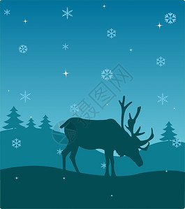 冬季鹿图片