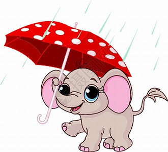 雨伞下可爱的小象图片