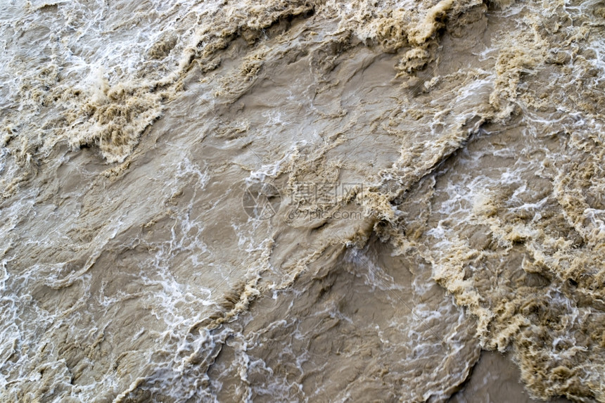 在快河中游动着泥水