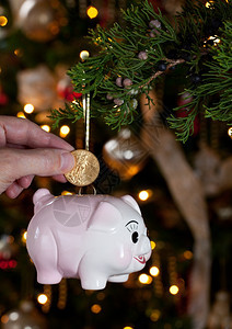 粉红猪库挂在圣诞树的枝上用图片