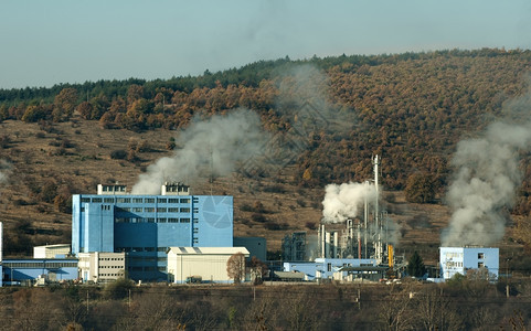 森林中烟和雾的工业厂图片