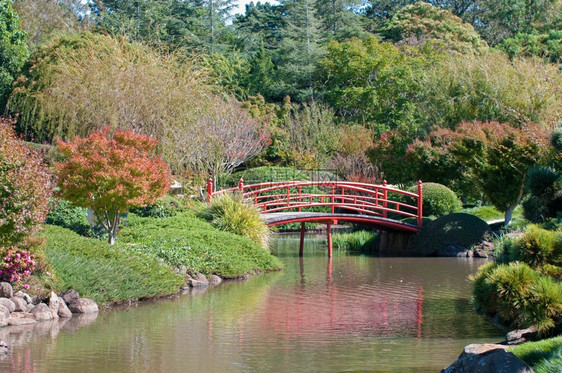 美丽的花园美景图片