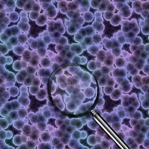 使用放大镜来查看显微下的细菌或胞大成像图片