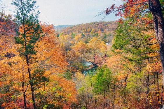 秋天森林的景色图片