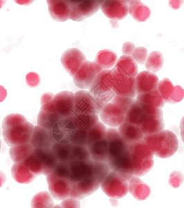 显微镜下的白色底明亮反光红细胞图片