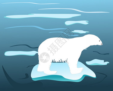 北极熊的温暖时间图片