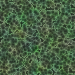 显微镜下的细菌或胞大成像显微镜下的细胞图片