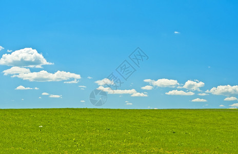 蓝色天空和绿色草丛图片