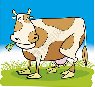 农场奶牛的漫画插图图片
