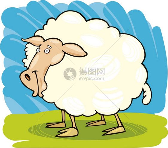 农场羊的漫画插图图片