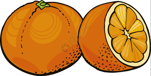 两个橙子插图背景图片
