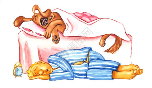 狗和主人睡觉的幽默式插图图片