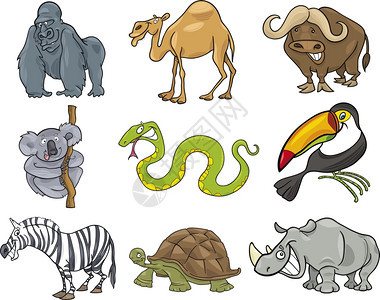 漫画插图九只有趣的野生动物图片