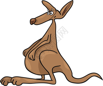 可笑的澳洲袋鼠漫画插图图片
