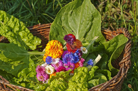 菜篮子沙拉和花图片