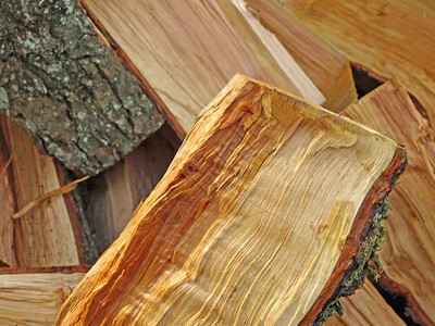 木头燃料木图片