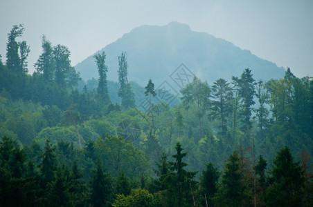 一座绿油油的大山图片