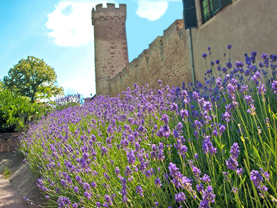 中世纪的旧城墙法兰西阿尔萨斯中世纪的城墙图片